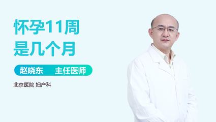 十一周是几个月