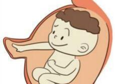 怀孕爱吃甜食生男生女