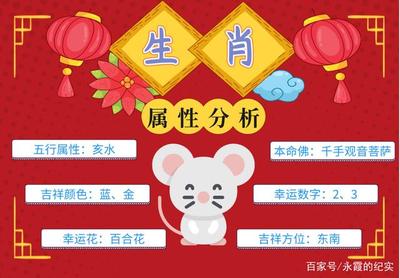 属鼠的吉祥数字是什么