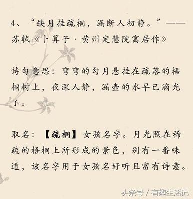 诗句名字大全唯美