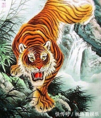 心狠手辣的生肖是什么