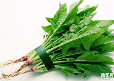 怀孕不能吃菠菜吗