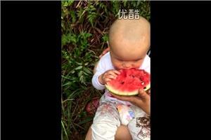 七个月的宝宝可以吃西红柿吗