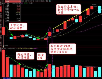 鱼缸水泵排空气（鱼缸水泵排空气方法视频教程）