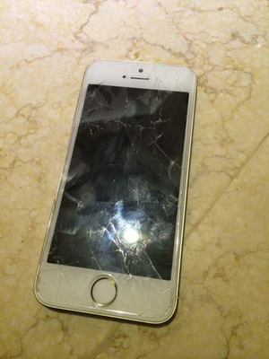 苹果碎了