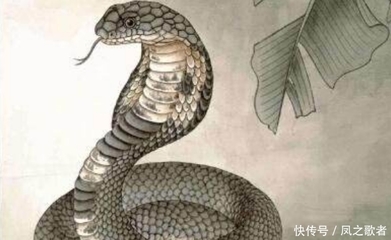 生肖蛇出生年份