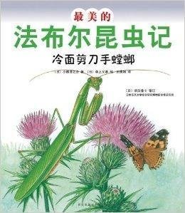 昆虫记螳螂的外形和生活特征