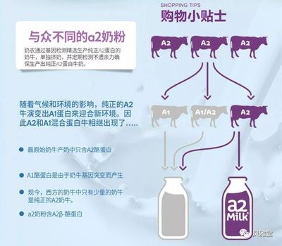 市面上最贵的奶粉