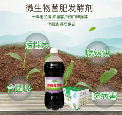 子宫内膜萎缩