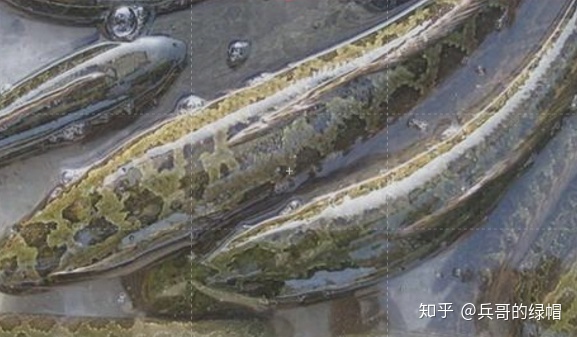 放屁带油是怎么回事