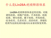 lin什么意思