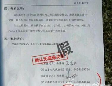 亲子鉴定结果样本