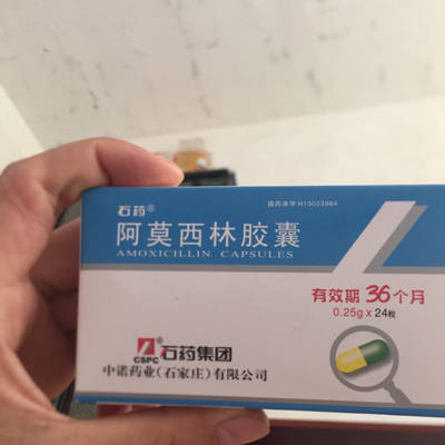 怀孕吃阿莫西林