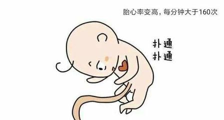 怀孕30周胎动频繁正常吗