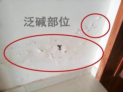墙面泛碱的原因
