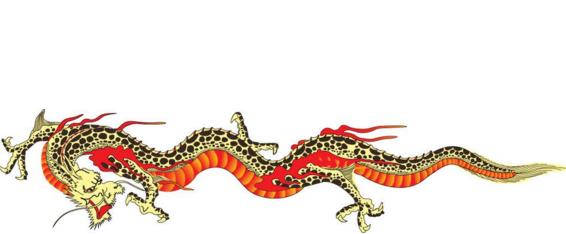 88年属龙的和什么属相最配