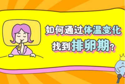 怎么辨别排卵期
