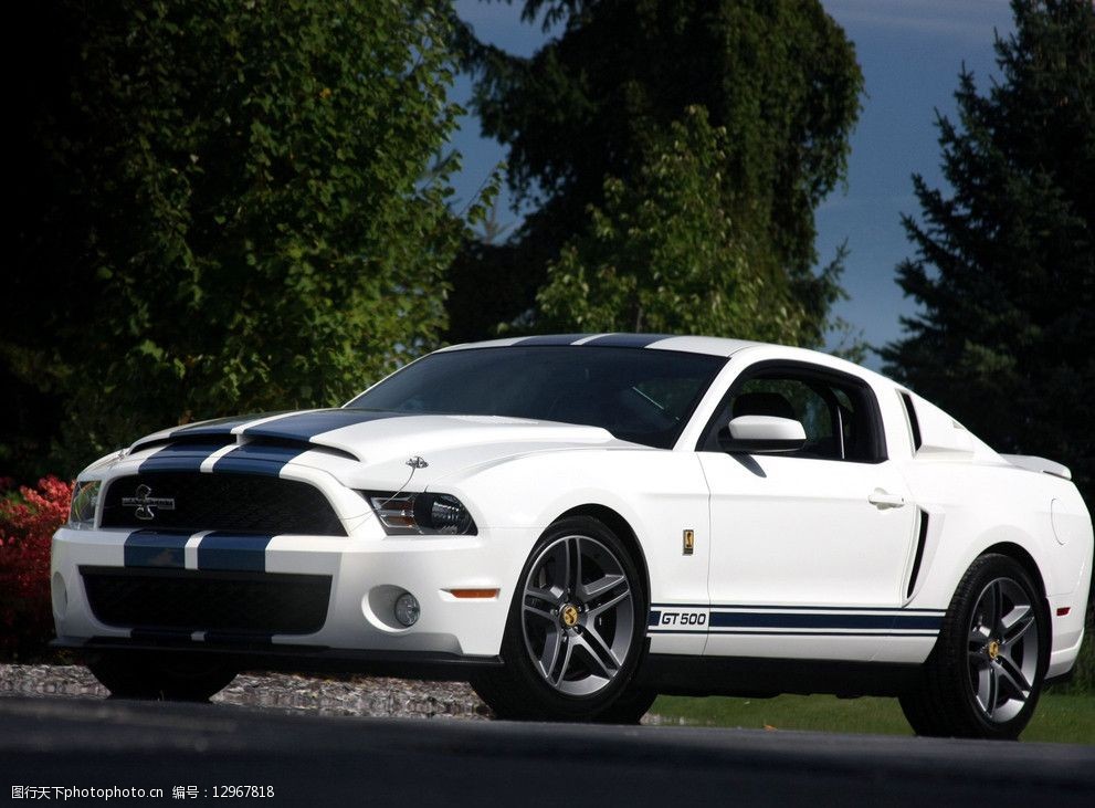 福特Mustang野马