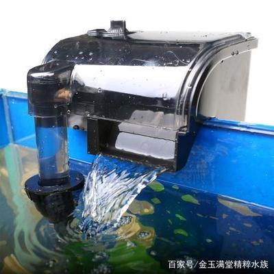 金龍魚五升豆油多少錢一桶（金龍魚豆油5升多少錢一桶） 祥龍水族醫(yī)院