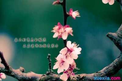 看透一个人的句子