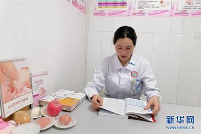 子宫长什么样子图片