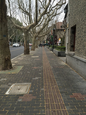 上海思南路在哪个区