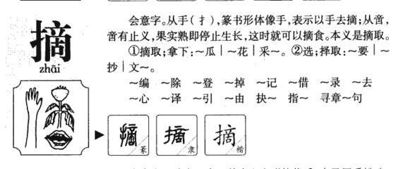 王五行属什么