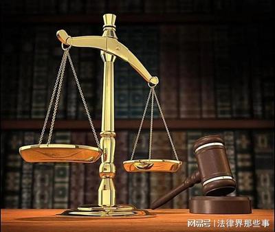 支持起诉原则