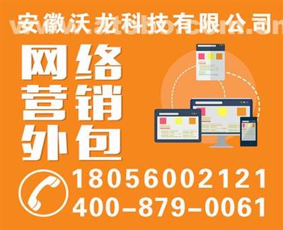 【站内seo优化_合肥seo优化_安徽沃龙网络推广(查看)】,价格,厂家,供应商,商务服务