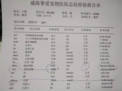 尿淀粉酶偏高多少是胰腺炎
