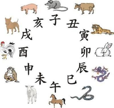 八字不合什么意思
