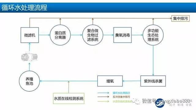 平面设计模式图,三室一厅