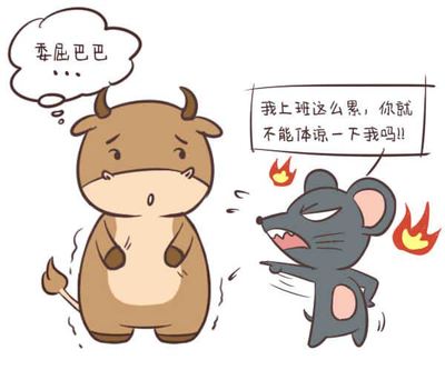 属牛的人是什么星座