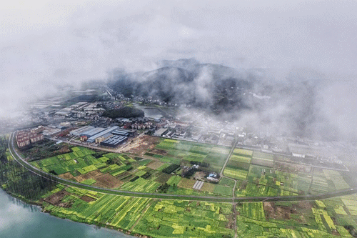 桐庐青山箱包厂地址在哪里