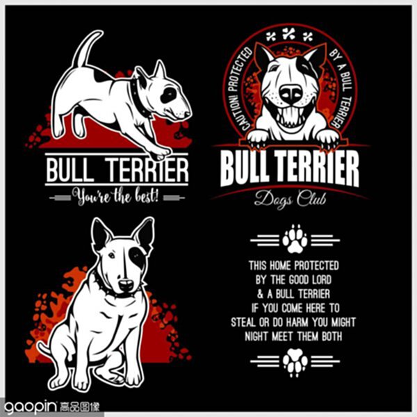 Introduction of pit bulls? ? What kind of dog is father dog?