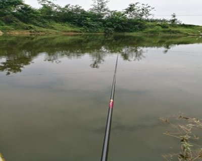 水库钓草鱼钓底还是钓浮