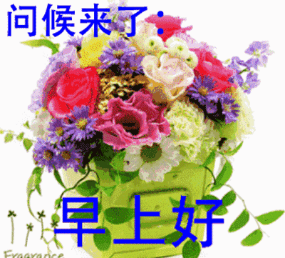 我要看什么鲜花表情包呢
