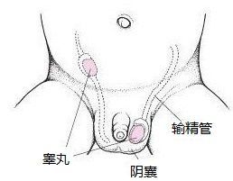 小孩疝气是怎么回事