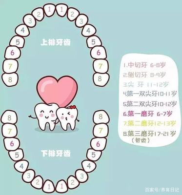 幼儿总共有多少颗牙齿