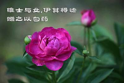 洧的寓意