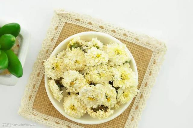 孩子能喝菊花茶吗