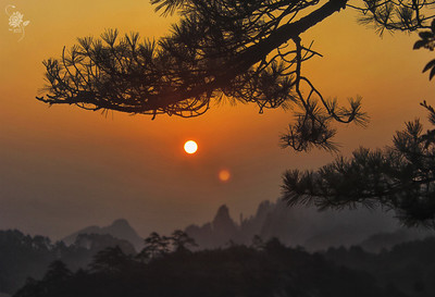 我宿黄山碧溪月下一句