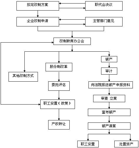 法律流程