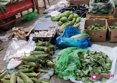 做梦卖菜