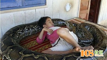 孕妇梦见逃命