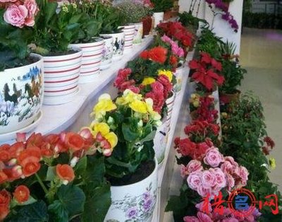花卉店铺起名