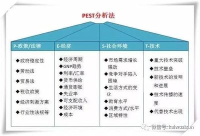 swot怎么写