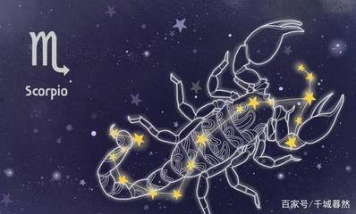 和双鱼最配的星座