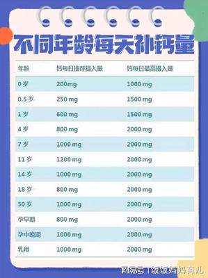 长高每天要多少钙