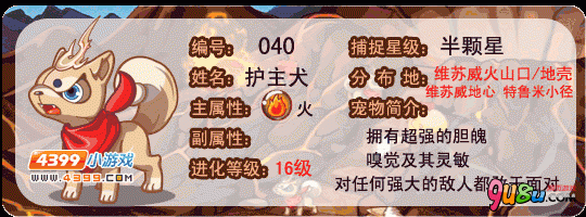 洛克王国护主犬怎么练级